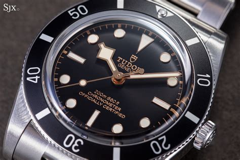 gilt tudor|tudor black bay bezel.